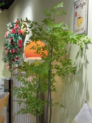 -变美丽半永久纹眉连锁·机器野生眉•洗眉