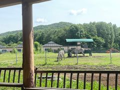 -哈尔滨北方森林动物园