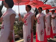 -宾湖农庄·农场特色(太湖龙之梦店)