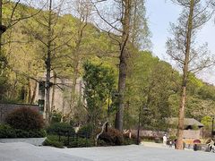 -东明山森林公园