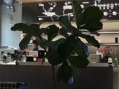 -科学家咖啡(海岸城店)