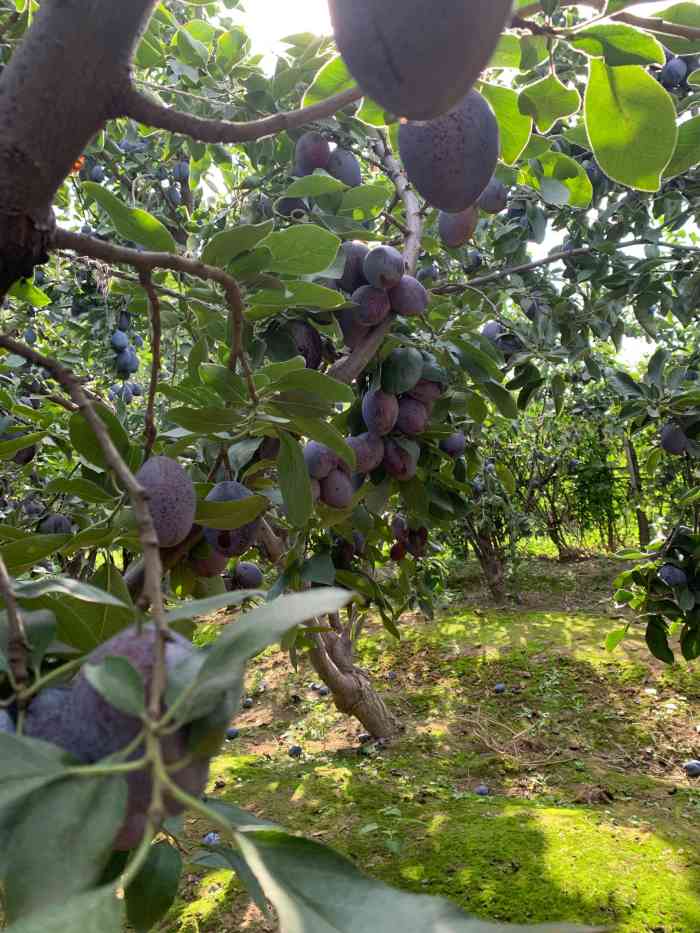 平常周一到周五我在办公室做得久了,就想出来耍一