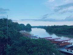 -东寨港红树林旅游区