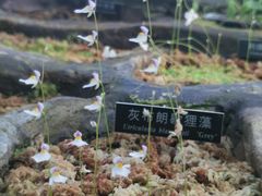 -国家植物园南园