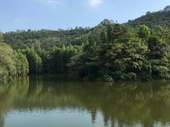 -广州市流溪河国家森林公园