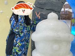 -世界之窗阿尔卑斯冰雪世界