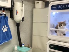 -猫宠乐园·专业洗护