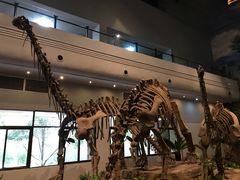 -自贡恐龙博物馆