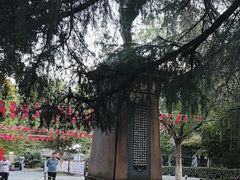 -伯先公园