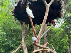 -云南野生动物园