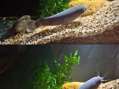 -上海海洋水族馆