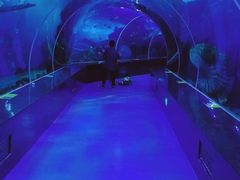 -多彩贵州城极地海洋世界