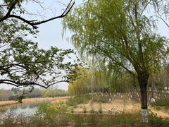 -大兴滨河森林公园