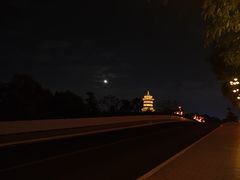 -厦门园林博览苑