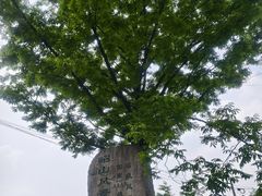 -昭山风景名胜区