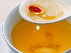 -诺莱仕游艇会