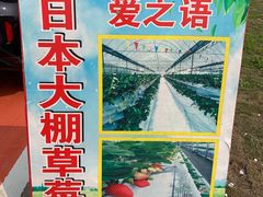 -万顷园艺世界
