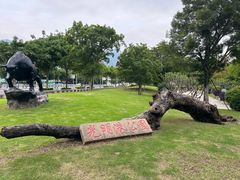 -光明港公园