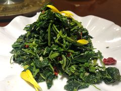 -小杨烤肉(高新店)
