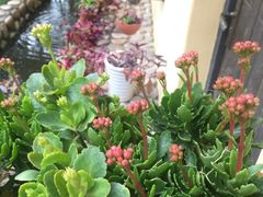 -RoMan罗马健身工作室(莘庄店)