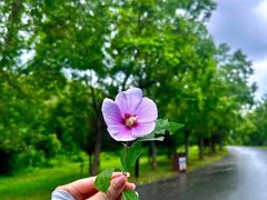 -江苏三台山国家森林公园