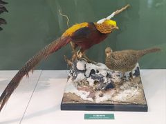 -国家自然博物馆