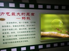 -上海昆虫博物馆