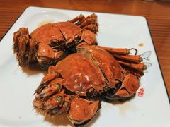 -呼吸森林·生态农庄农家乐私房菜