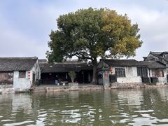 -西塘人家•黑金冠本地好店