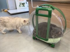 -小伙伴宠物医院•急重症转诊中心·老年专科·犬猫全科(北大街总院)