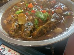 -金色田园农家乐餐厅