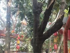 -陶缘一号·四季缘·老字号顺德菜·户外婚礼家宴(西滘店)