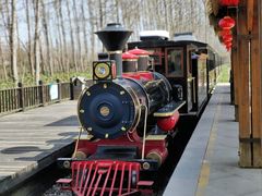 -合肥滨湖国家森林公园