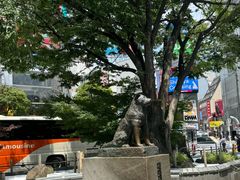 -涩谷全向十字路口