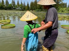 -上海长兴岛郊野公园