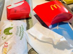 -麦当劳(滨河路DT店)