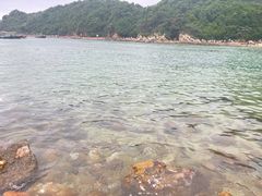 -杨梅坑