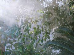 -郑州植物园