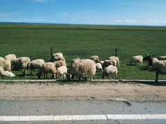 -青海湖国家重点风景名胜区