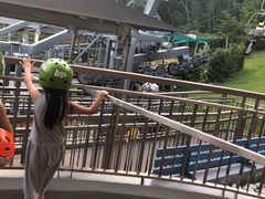 -圣淘沙天际线斜坡滑车