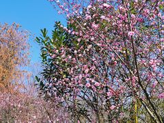 -西溪天堂商业街-停车场