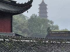 -芍药居北里