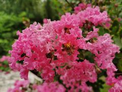 -北京植物园南门售票处