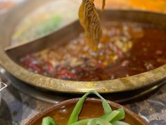 -Xiao Long Kan Hotpot Sydney 小龙坎老火锅