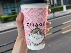 -霸王茶姬(大学城熙街店)