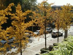 -黔蘑菇四季餐厅(观山湖店)