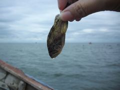 -东戴河风景区-止锚湾