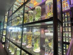-广东中医药博物馆