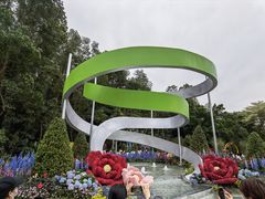 -深圳仙湖植物园