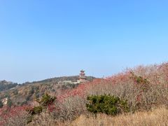 -泰山风景名胜区
